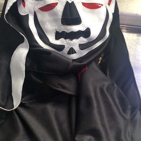 Luchador Masks - Halloween Mask - Lucha Libre - Picture 7 of 8